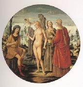 Girolamo di Benvenuto The Judgment of Paris (mk05) oil painting artist